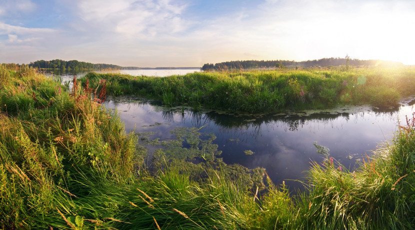 New Law Will Protect Panama City Wetlands