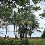 Oceanview Land in Isla Viveros Available for Sale