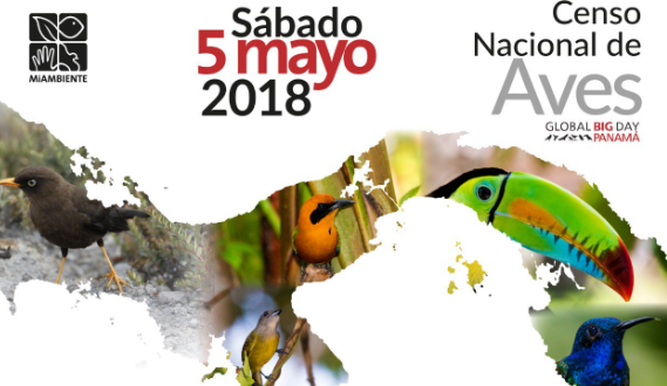 Panama is No. 1 in Region for Bird Watching