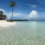 Copa Predicts Boost in Travel in Q2