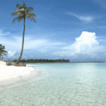 Another Major Company Expanding in Panama