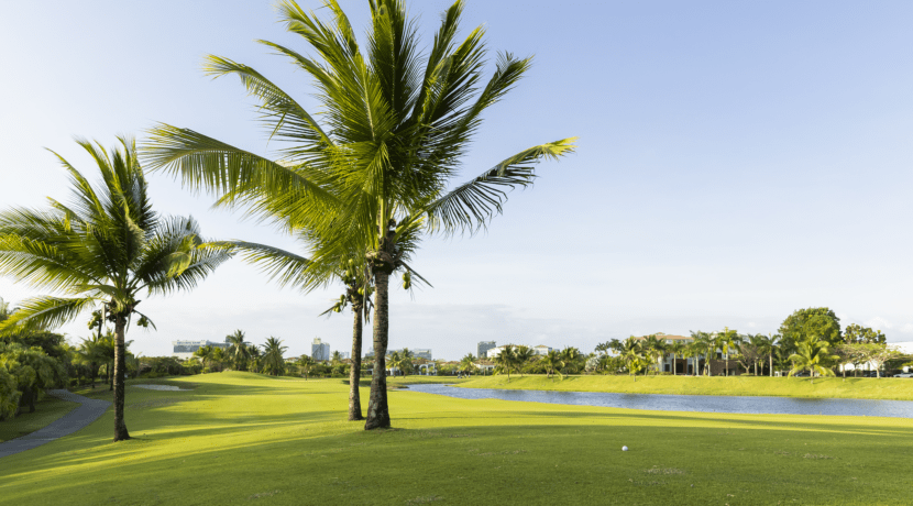 New York Times Spotlights Panama City