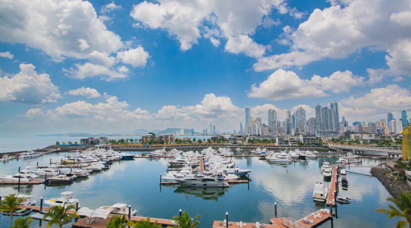 Maximize Profits and Minimize Stress with PPR Property Management