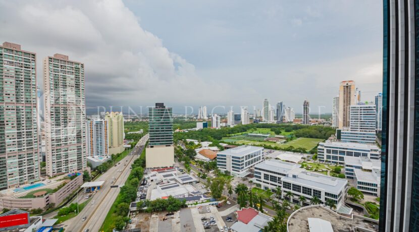 DSC_0647-2