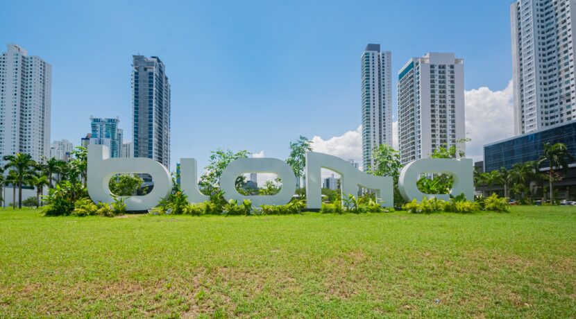 Property Spotlight: A Disruptive Development in Costa del Este