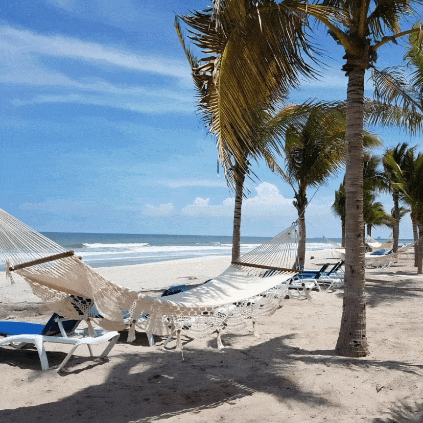 Playa Caracol Panama pareja disfrutando palmeras y vista al oceano