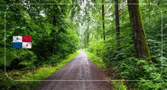 CABEI Invests $75 Million in Panama Forests