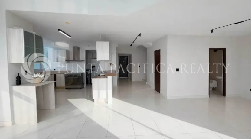Park loft-04