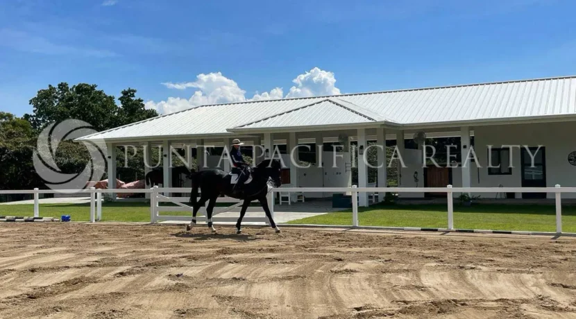 Casa Equestre-19