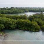 Japan Explores Direct Air Link to Panama