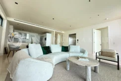 The palms-24