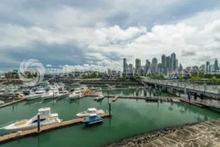 For Sale | Luxury Marina-View Residence in Casa del Mar