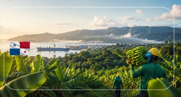 Chiquita Returns to Panama: A Boost for Jobs, Exports, and Investor Confidence