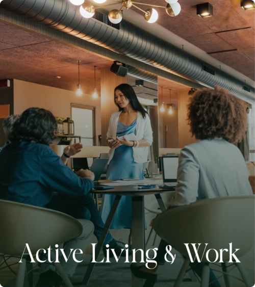 celeste-lifetime-image-work Celeste